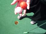 1010143_Mom_GolfBoomersFresno
